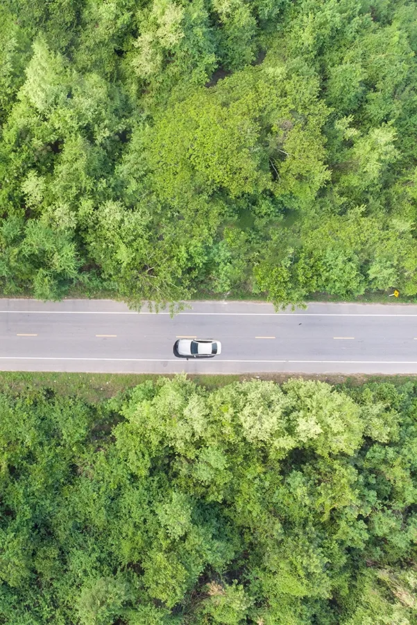 vue-aerienne-de-la-route-qui-passe-dans-la-foret-avec-une-voiture-qui-passe